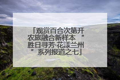 观赏百合次第开 农旅融合新样本 “胜日寻芳·花漾兰州”系列报道之七