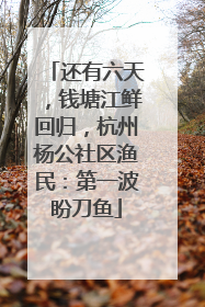 还有六天，钱塘江鲜回归，杭州杨公社区渔民：第一波盼刀鱼