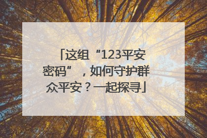 这组“123平安密码”，如何守护群众平安？一起探寻