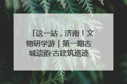 这一站，济南！文物研学游｜第一期古城遗韵·古建筑巡迹之旅圆满结束