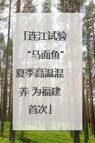 连江试验“马面鱼”夏季高温混养 为福建首次