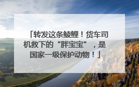 转发这条鲮鲤！货车司机救下的“胖宝宝”，是国家一级保护动物！