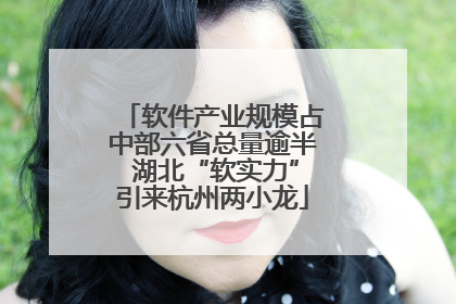 软件产业规模占中部六省总量逾半 湖北“软实力”引来杭州两小龙