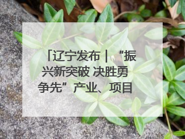 辽宁发布｜“振兴新突破 决胜勇争先”产业、项目、民生齐发力 葫芦岛按下决胜之年“加速键”