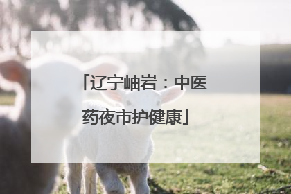 辽宁岫岩：中医药夜市护健康