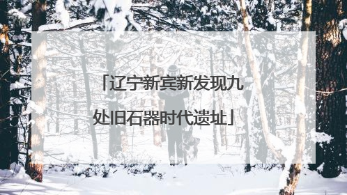 辽宁新宾新发现九处旧石器时代遗址