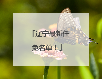 辽宁最新任免名单！