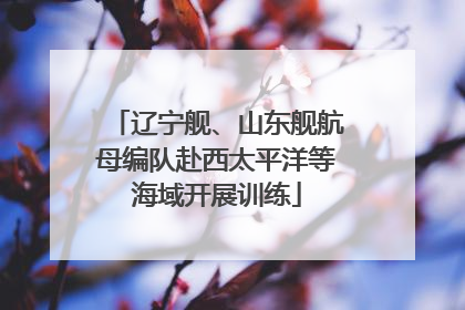 辽宁舰、山东舰航母编队赴西太平洋等海域开展训练