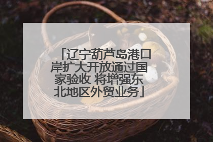 辽宁葫芦岛港口岸扩大开放通过国家验收 将增强东北地区外贸业务