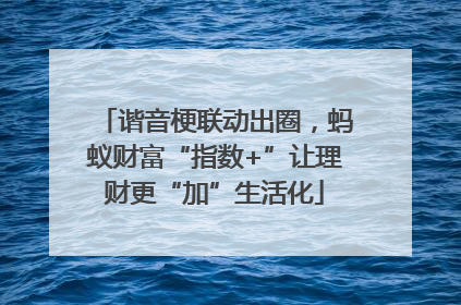 谐音梗联动出圈，蚂蚁财富“指数+”让理财更“加”生活化