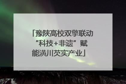 豫陕高校双擎联动 “科技+非遗”赋能潢川芡实产业