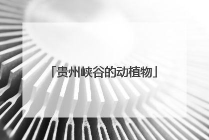 贵州峡谷的动植物