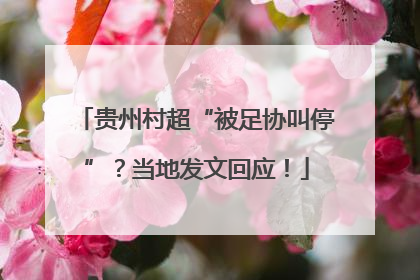 贵州村超“被足协叫停”？当地发文回应！