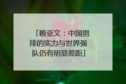 赖亚文：中国男排的实力与世界强队仍有明显差距