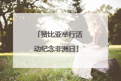 赞比亚举行活动纪念非洲日