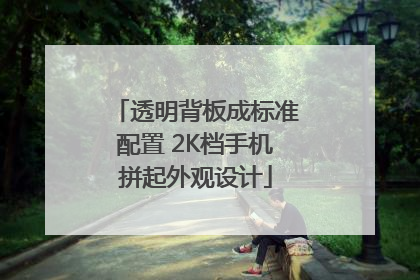 透明背板成标准配置 2K档手机拼起外观设计