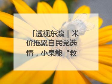 透视东瀛｜米价拖累自民党选情，小泉能“救”石破茂吗