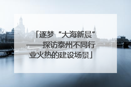 逐梦“大海新晨”——探访泰州不同行业火热的建设场景