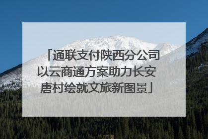通联支付陕西分公司以云商通方案助力长安唐村绘就文旅新图景