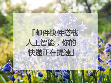 邮件快件搭载人工智能，你的快递正在提速
