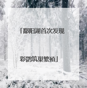 鄱阳湖首次发现彩鹮筑巢繁殖