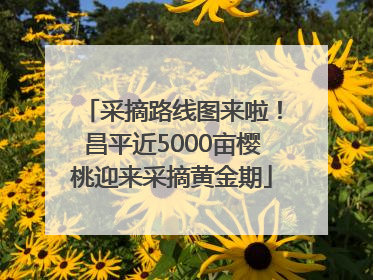 采摘路线图来啦！昌平近5000亩樱桃迎来采摘黄金期