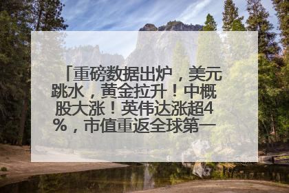 重磅数据出炉，美元跳水，黄金拉升！中概股大涨！英伟达涨超4%，市值重返全球第一！黄仁勋计划出售至多600万股股票