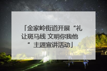 金家岭街道开展“礼让斑马线 文明你我他”主题宣讲活动