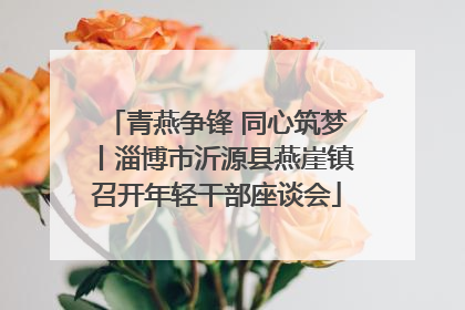 青燕争锋 同心筑梦丨淄博市沂源县燕崖镇召开年轻干部座谈会