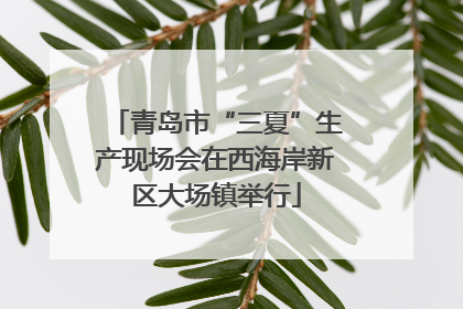青岛市“三夏”生产现场会在西海岸新区大场镇举行