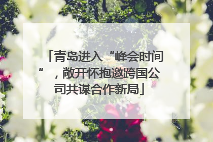 青岛进入“峰会时间”，敞开怀抱邀跨国公司共谋合作新局
