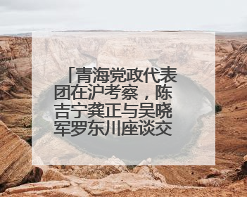 青海党政代表团在沪考察，陈吉宁龚正与吴晓军罗东川座谈交流，深化合作对接