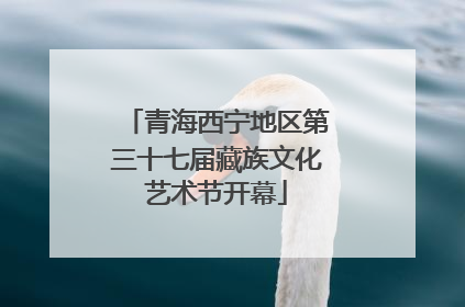 青海西宁地区第三十七届藏族文化艺术节开幕