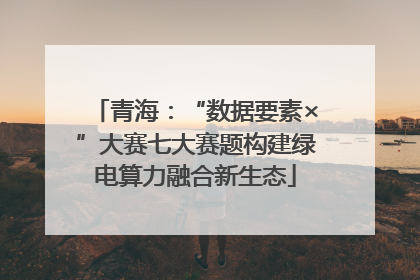 青海：“数据要素×”大赛七大赛题构建绿电算力融合新生态
