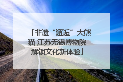 非遗“邂逅”大熊猫 江苏无锡博物院解锁文化新体验
