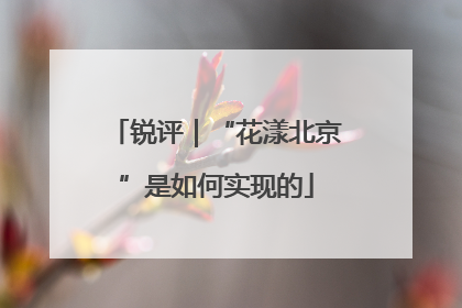 锐评｜“花漾北京”是如何实现的