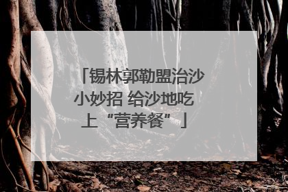 锡林郭勒盟治沙小妙招 给沙地吃上“营养餐”