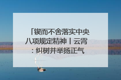 锲而不舍落实中央八项规定精神丨云霄：纠树并举扬正气 作风建设谱新章