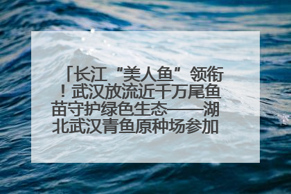 长江“美人鱼”领衔！武汉放流近千万尾鱼苗守护绿色生态——湖北武汉青鱼原种场参加2025年“全国放鱼日”增殖放流活动
