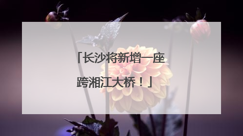 长沙将新增一座跨湘江大桥！