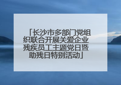 长沙市多部门党组织联合开展关爱企业残疾员工主题党日暨助残日特别活动