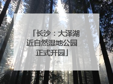 长沙：大泽湖近自然湿地公园正式开园