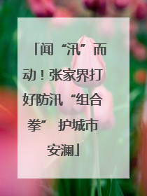 闻“汛”而动！张家界打好防汛“组合拳” 护城市安澜