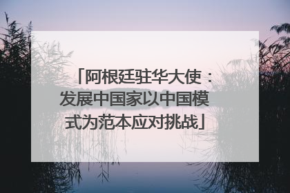 阿根廷驻华大使：发展中国家以中国模式为范本应对挑战