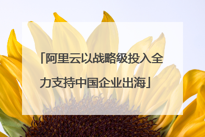 阿里云以战略级投入全力支持中国企业出海