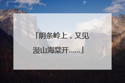 阴条岭上，又见漫山海棠开……