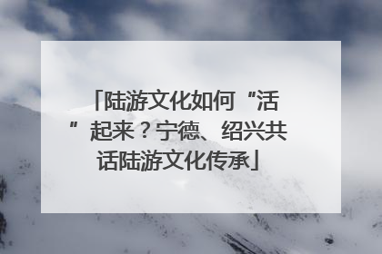 陆游文化如何“活 ”起来？宁德、绍兴共话陆游文化传承