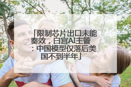 限制芯片出口未能奏效，白宫AI主管：中国模型仅落后美国不到半年
