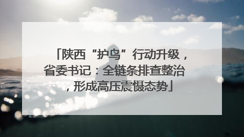 陕西“护鸟”行动升级，省委书记：全链条排查整治，形成高压震慑态势