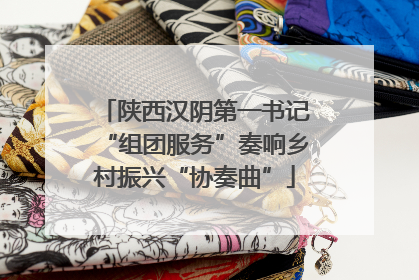 陕西汉阴第一书记“组团服务”奏响乡村振兴“协奏曲”